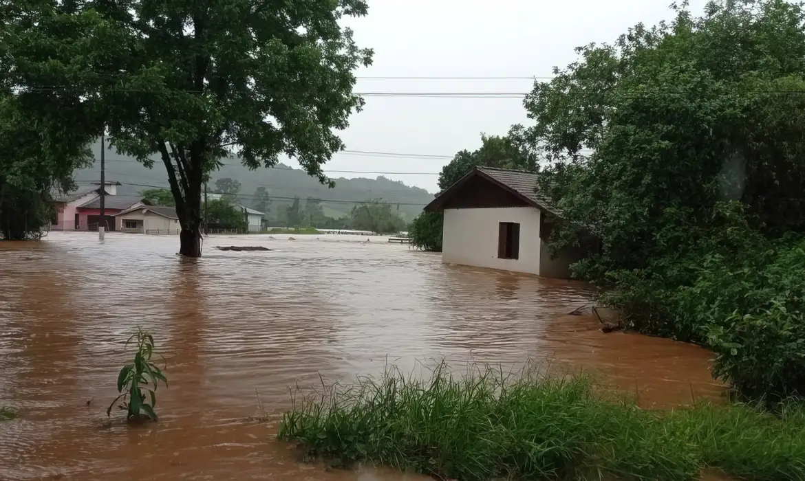 Foto: Canal Rural