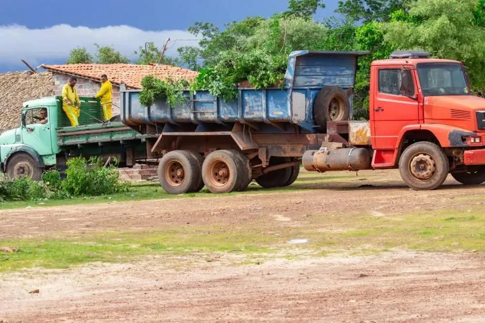 Foto: Joaquim Neto