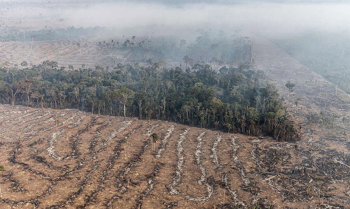 Foto: Agência Brasil - EBC