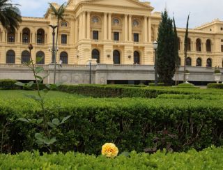 Museu do Ipiranga celebra aniversário de SP com atividades gratuitas