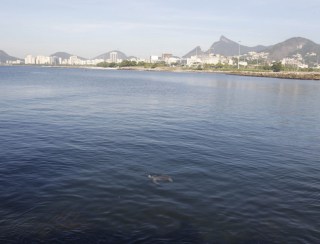 Secretaria identifica navio que derramou óleo na Baía de Guanabara