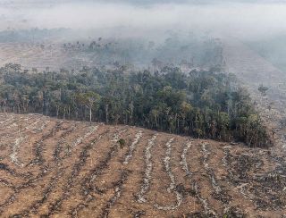 Fundo da Amazônia terá contribuição de R$ 91 milhões da Irlanda