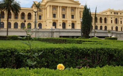 Museu do Ipiranga celebra aniversário de SP com atividades gratuitas