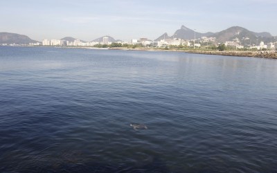 Secretaria identifica navio que derramou óleo na Baía de Guanabara