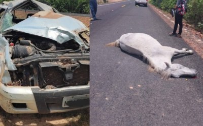 Carro capota após desviar de animal deixa três pessoas feridas no interior do Piauí